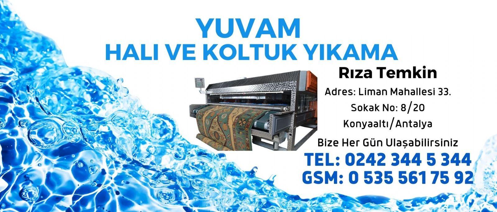 Profesyonel Halı Temizliği İçin Kullanılan Yöntemler ve Teknolojiler