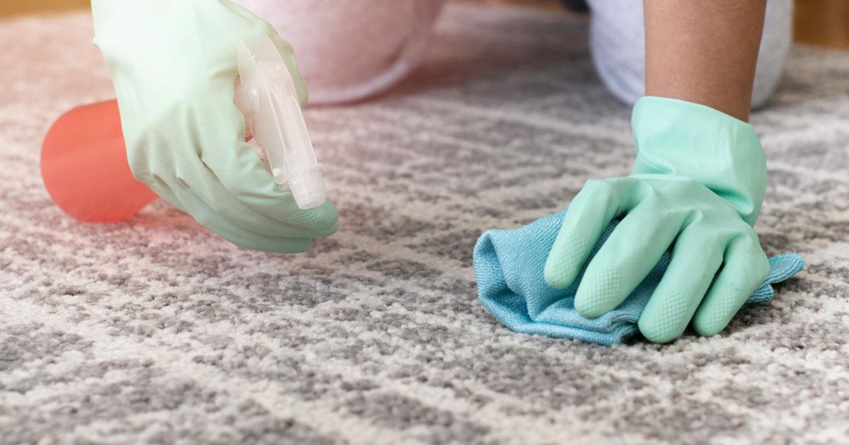 Halı ve Koltuk Temizliğinde Müşteri Memnuniyetini Artıran İpuçları