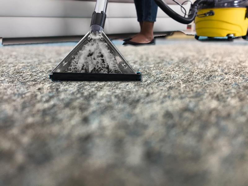 Profesyonel Halı Temizliğinde Kullanılan Teknikler